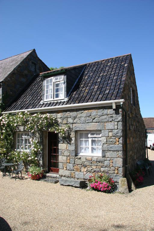 Вілла Le Douit Farm Self Catering Saint Martin Екстер'єр фото